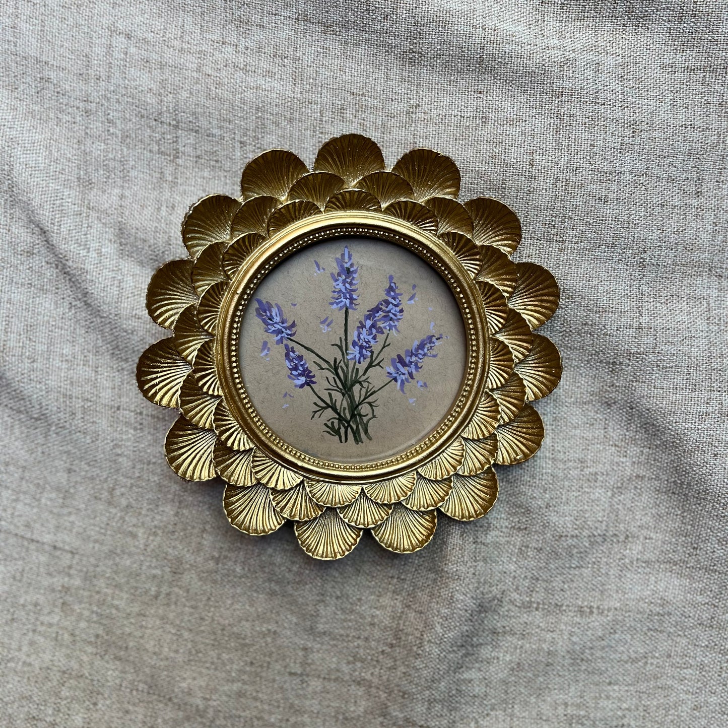 “Little Lavender”
